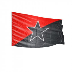 Schwarz/Rot mit schwarzem Stern - Fahne-